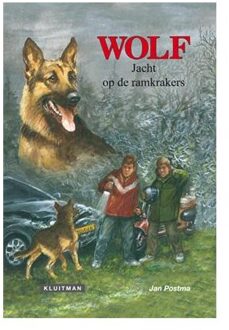 Jacht op de ramkrakers - Boek Jan Postma (9020634305)