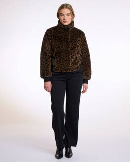 Jack ambra.7012511 Bruin - 40