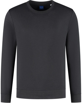 Jack & Jones Bradley Papillon Sweater Heren - L