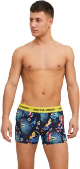 Jack & Jones broek Veelkleurig