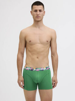 Jack & Jones Heren boxershorts trunks jacfred flamingo 12-pack - maat S Groen