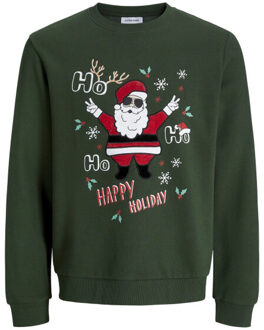 Jack & Jones Heren kersttrui jjchristmas donker - maat XXL Groen