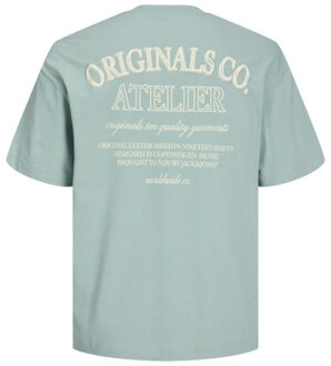 Jack & Jones Heren t-shirt jorsantorini ronde hals mintgroen Veelkleurig - XL