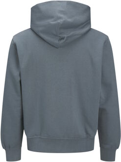 Jack & Jones hoodie Grijs