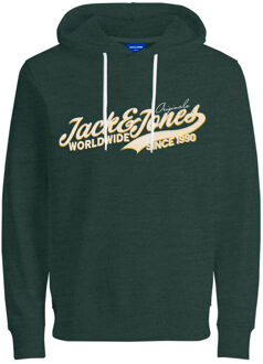 Jack & Jones hoodie Groen - M