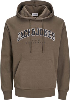 Jack & Jones hoodie Veelkleurig