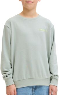 Jack & Jones JJ Rebel Hayden Crew Neck Sweater Jongens - 176