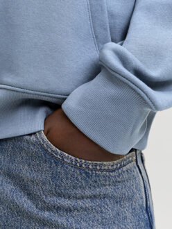 Jack & Jones Jjestar jj sweat hood raf Blauw - L