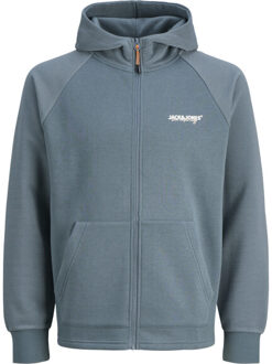 Jack & Jones Jjthatcher sweat zip hood Grijs - L
