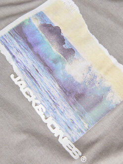Jack & Jones Jocsagoo photo slub tee Grijs
