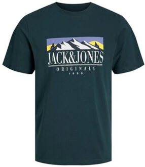 Jack & Jones Jorwalter tee Veelkleurig - L