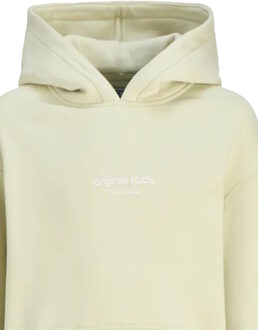 Jack & Jones Junior hoodie Groen