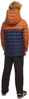 Jack & Jones Junior Jas Veelkleurig