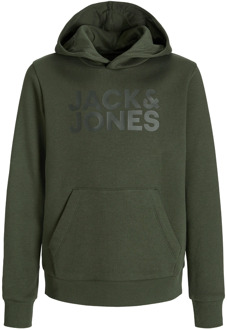 Jack & Jones Junior jongens hoodie Bottle - 152