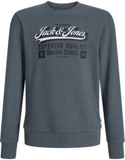 Jack & Jones Junior jongens sweater Grijs - 104