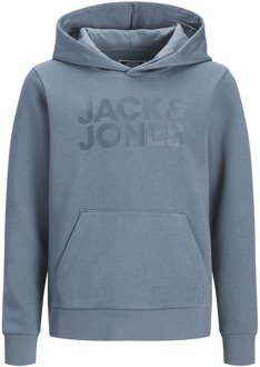 Jack & Jones Junior jongens sweater Grijs - 164