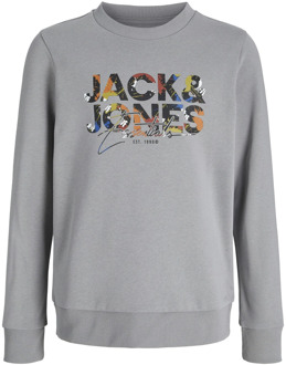 Jack & Jones Junior jongens sweater Grijs - 176