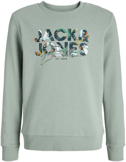 Jack & Jones Junior jongens sweater Groen - 164
