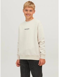 Jack & Jones Junior jongens sweater Kit - 164