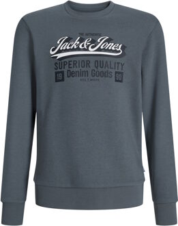 Jack & Jones Junior Sweatshirt Grijs