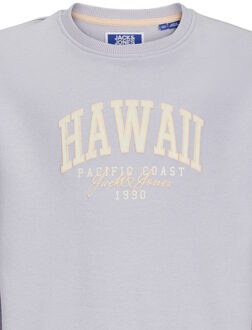 Jack & Jones Junior trui Paars - 9J / 134cm