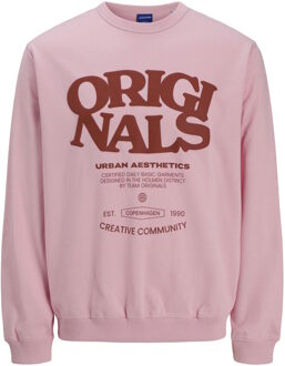 Jack & Jones Junior trui Roze - 5J / 110cm
