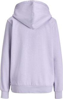 Jack & Jones Jxabbie rlx ls every hood swt noos Roze