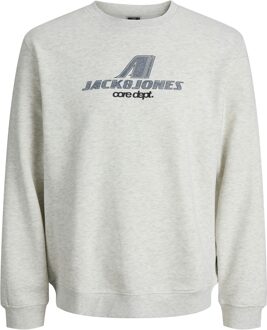 Jack & Jones Sweater TIER licht grijs - S;M