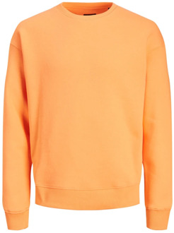 Jack & Jones Sweatshirts Jack & Jones , Orange , Heren - 2Xl,M