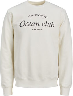 Jack & Jones trui - maat Wit