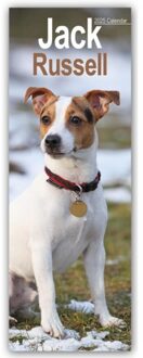 Jack Russell Slim Calendar 2025 Dog Breed Slimline Calendar - 12 Month - Slimline-Kalender - Avonside Publishing Ltd