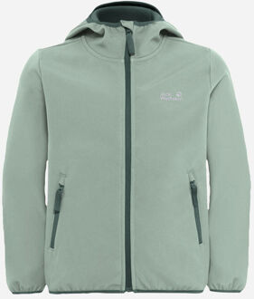 Jack Wolfskin Fourwinds Softshell Jas Junior Groen - 128