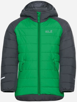 Jack Wolfskin Zenon Isolatiejas Junior Groen - 128