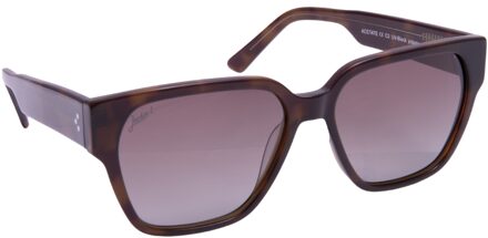 Jackie L Orléans JL-0576B tortoiseshell - bruin dégradé polarised TAC - UV400
