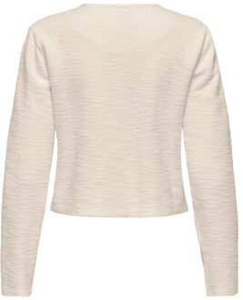 Jacqueline de Yong Ally l/s boucle blazer Veelkleurig