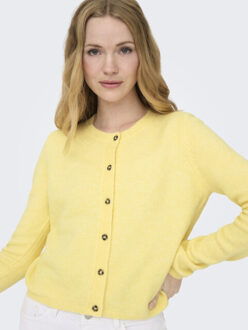 Jacqueline de Yong Jdychloe life ls cardigan knt noos - Geel