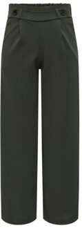 Jacqueline de Yong Jdygeggo new long pant jrs noos Groen - L / L32