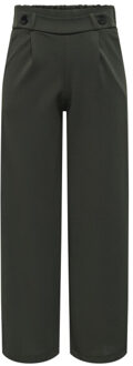 Jacqueline de Yong Jdygeggo new long pant jrs noos Groen - XL / L32
