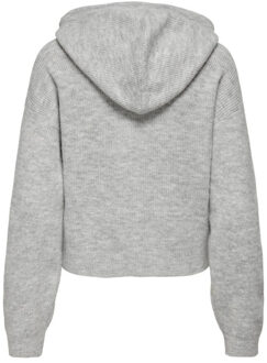 Jacqueline de Yong Lumi life l/s hood pullover Grijs - M