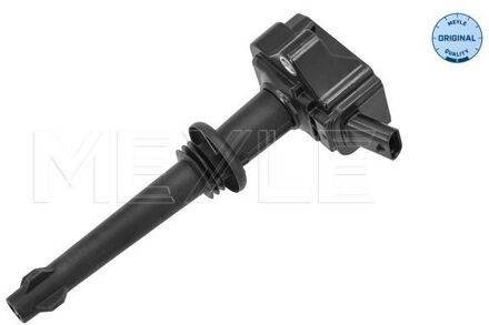 Jaguar Bobine 18148850003