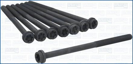 Jaguar Cilinderkopbout set 81065600