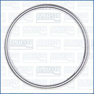 Jaguar Dichtring, leiding EGR-klep 01662000