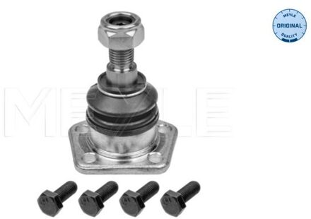 Jaguar Fuseekogel 18160100005