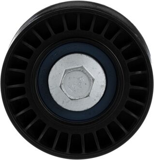 Jaguar Geleide rol/omdraairol v-snaren DriveAlign® T36779