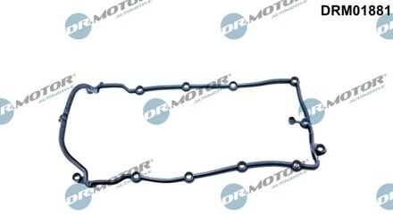 Jaguar Klepdekselpakking DRM01881