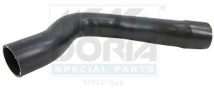 Jaguar Laadluchtslang 961186