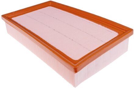 Jaguar luchtfilter 109207