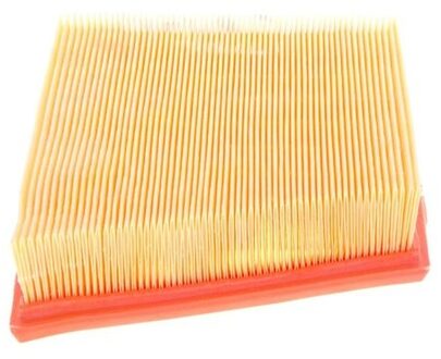 Jaguar Luchtfilter S0089