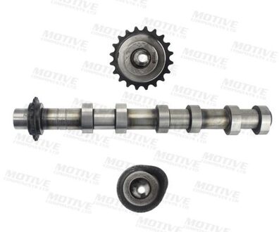 Jaguar Nokkenas T6552