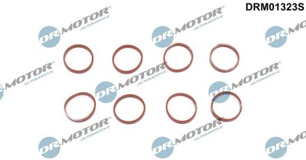 Jaguar Pakkingset, inlaatspruitstuk DRM01323S